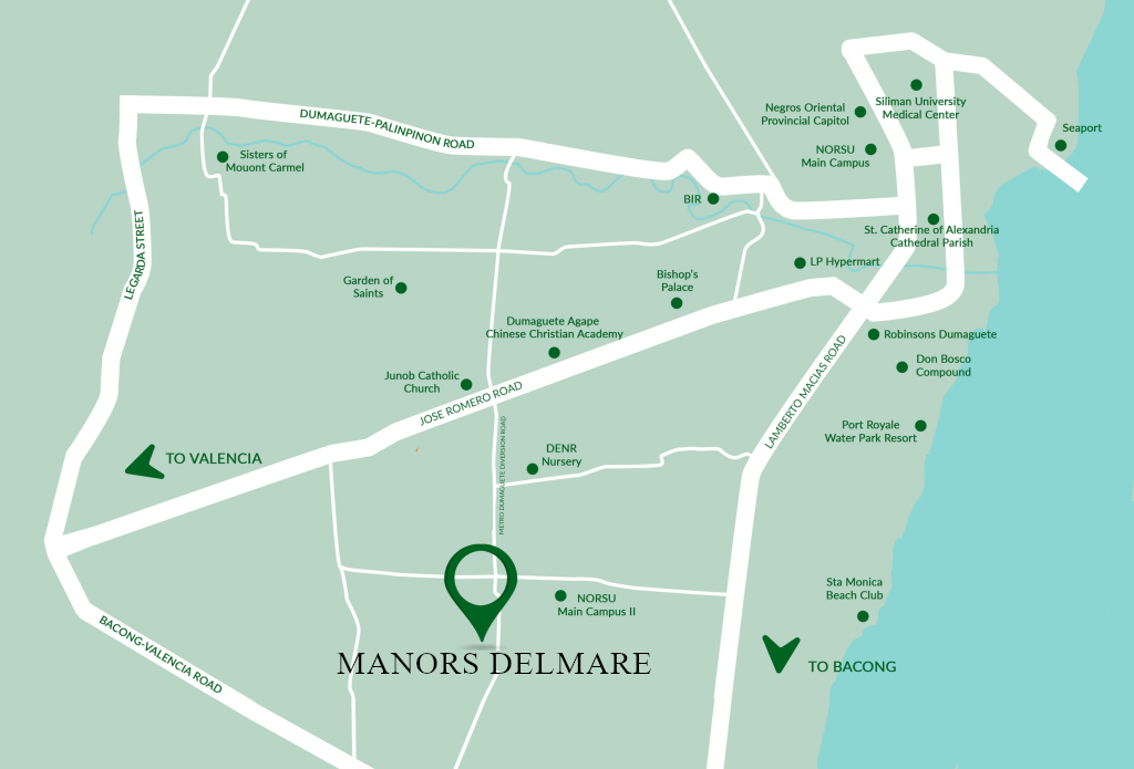 Manors Delmare Condo for Sale in Dumaguete